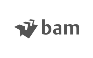 bam-leadership-coaching-team-change-transformation-executive-coaching