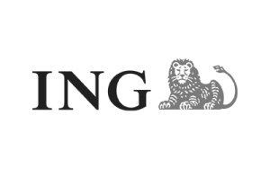 ing-leadership-coaching-team-change-transformation-executive-coaching