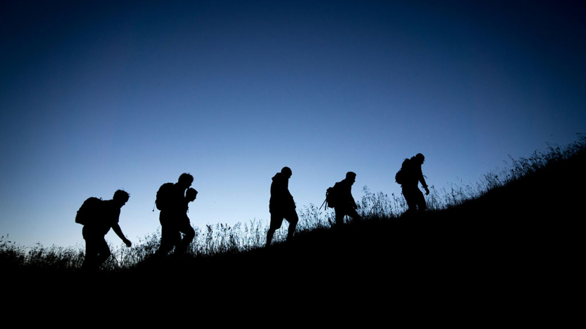 team-coaching-4-change-transformation-executive-coaching